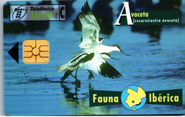 Delcampe - 19635 - Spanien - Fauna Iberica , Avoceta , Tiere - Basic Issues