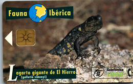 Delcampe - 19636 - Spanien - Fauna Iberica , Lagarto Gigante De El Hierro - Basic Issues