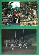 Zimbabwe Shangaan Dancers 2 Postcards - Zimbabwe