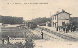 ¤¤  -  LE GAVRE   -  Gare De La Maillardais Dans La Forêt   -  Train , Chemin De Fer      -  ¤¤ - Le Gavre