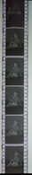 6 Negative Hübsche Junge Frau Sw / Beautiful Young Woman Bw / 24x35mm Vom Prof. Fotograf Erotik Erotic Abx-LR41-7 - Non Classificati