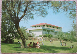 ISRAEL SHANA TOVA NEW YEAR KIBBUTZ SAAD JUDAICA CARTE POSTALE POSTCARD CARTOLINA ANSICHTSKARTE - Neujahr