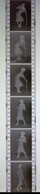 6 Negative Hübsche Junge Frau Sw / Beautiful Young Woman Bw / 24x35mm Vom Prof. Fotograf Erotik Erotic Abx-LR38-4 - Unclassified