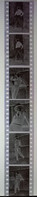 6 Negative Hübsche Junge Frau Sw / Beautiful Young Woman Bw / 24x35mm Vom Prof. Fotograf Erotik Erotic Abx-LR38-6 - Non Classificati