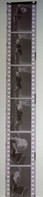 6 Negative Hübsche Junge Frau Sw / Beautiful Young Woman Bw / 24x35mm Vom Prof. Fotograf Erotik Erotic Abx-LR38-7 - Non Classificati