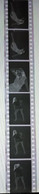 6 Negative Hübsche Junge Frau Sw / Beautiful Young Woman Bw / 24x35mm Vom Prof. Fotograf Erotik Erotic Abx-LR34-5 - Non Classificati