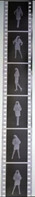 6 Negative Hübsche Junge Frau Sw / Beautiful Young Woman Bw / 24x35mm Vom Prof. Fotograf Erotik Erotic Abx-LR33-6 - Non Classificati