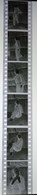 6 Negative Hübsche Junge Frau Sw / Beautiful Young Woman Bw / 24x35mm Vom Prof. Fotograf Erotik Erotic Abx-LR31-4 - Non Classificati