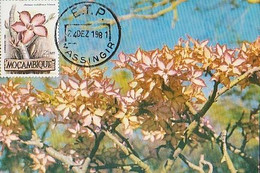 Mozambique & Maximum Card, Flores De Moçambique, Impala Lily, Adenium Multiflorum, Massingir 1981 (81) - Mozambique