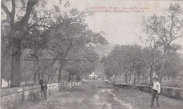 Delcampe - POSTCARD PORTUGAL - BRAGA - FALPERRA - AVENIDA DA CAPELA DE SANTA MARIA MADALENA . A PENITENTE - Braga