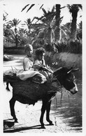 ¤¤  -    ALGERIE   -   Carte-Photo   -   Trois Enfants Sur Un Ane         -   ¤¤ - Enfants