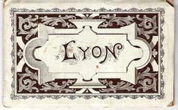 Carnet De 12  Gravures En Hélio Des Monuments De Lyon Par Emil Pinkau à Leipzig Ca. 1895 - Dépliants Touristiques