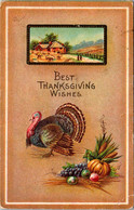 Thanksgiving Greetings With Turkey - Thanksgiving