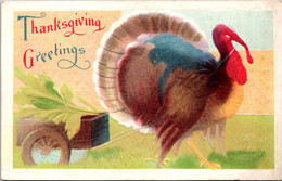 Thanksgiving Greetings With Turkey - Thanksgiving