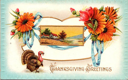 Thanksgiving Greetings With Turkey - Thanksgiving