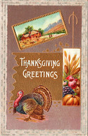 Thanksgiving Greetings With Turkey - Thanksgiving