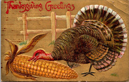 Thanksgiving Greetings With Turkey - Thanksgiving