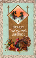 Thanksgiving Greetings With Turkey - Thanksgiving