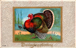 Thanksgiving Greetings With Turkey 1910 - Thanksgiving