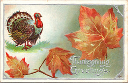 Thanksgiving Greetings With Turkey 1911 - Thanksgiving