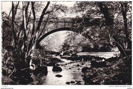 Saint Mathieu - Maisonnais - Le Pont Sur La Tardoire - Timbre - France ( 2 Scans ) - Saint Mathieu