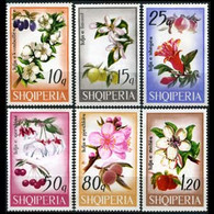 ALBANIA 1969 - Scott# 1234-9 Flowers-Plums Set Of 6 MNH - Albanië