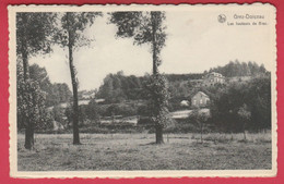 Grez-Doiceau - Les Hauteurs De Biez ( Voir Verso ) - Graven