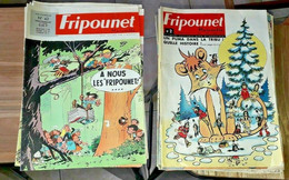 Gros Lot De 38 N° Lot FRIPOUNET Et MARISETTE Mic Delinx SYLVAIN SYLVETTE MOKY POUPY 1966-1967 - Sylvain Et Sylvette