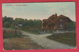 Amougies - Châlet De La Sablière - 1909 ( Voir Verso ) - Kluisbergen