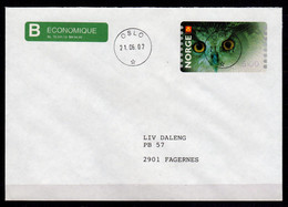 Norge Norwegen Norway ATM 5 Hubro Owl Eule / 5,00 On B-Post Cover Oslo 21.06.02 + Receipt / Etiquetas Automatenmarken - Cartas & Documentos