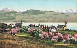 Männedorf Mit Den Alpen - 1913 - Dorf