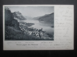 CP SUISSE (V2112) WEESEN GEGEN DEN WALENSEE (2 Vues) Pht. J Knobel B - Weesen