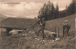 Obwalder Alphornbläser LUNGERN ? Kühe Alpweide Bergbauer - Lungern