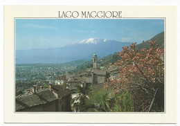 AA3800 Brione Sopra Minusio - Lago Maggiore - Panorama / Viaggiata 2000 - Brione Sopra Minusio