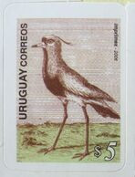 2006 URUGUAY Mnh - Autoadhesivo Tero Teru Bird Oiseau Ave Vogel  - Yvert 2297 - Uruguay