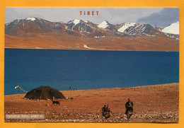 TIBET -  Yamdruk Tsho - Tibet