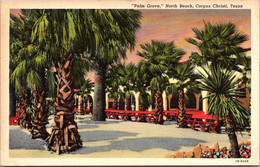 Texas Corpus Christi North Beach Palm Grove 1951 Curteich - Corpus Christi