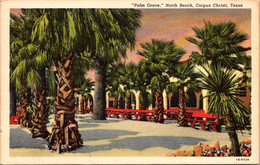 Texas Corpus Christi North Beach Palm Grove 1948 Curteich - Corpus Christi