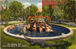 Texas El Paso San Jacinto Plaza Alligator Pool 1946 - El Paso