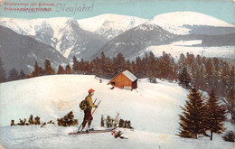 Vallée Munster-68-Hautes-Vosges-Hochvogesen-Münstertal-Hohneck-SKI-SKIEUR-SPORT D'HIVER-Neige-Ferme Auberge-Chaume - Sports D'hiver