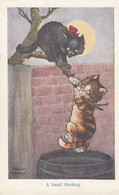 Cat Tree Rescue A Small Holding Comic Old Cats Postcard - Chats