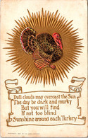 Thanksgiving Greetings With Turkey - Thanksgiving