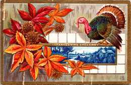 Thanksgiving Greetings With Turkey - Thanksgiving