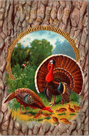Thanksgiving Greetings With Turkey 1911 - Thanksgiving