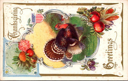 Thanksgiving Greetings With Turkey And Patriotic Shield - Thanksgiving