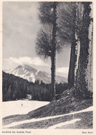 Ausblick Bei Seefeld Tirol Austria Rare Postcard - Non Classés