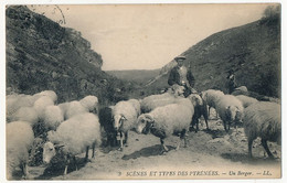 CPA - Scènes Et Types Des Pyrénées - Un Berger - Sonstige & Ohne Zuordnung