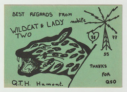 QSL Card 27MC Wildcat & Lady Hamont (B) - CB-Funk