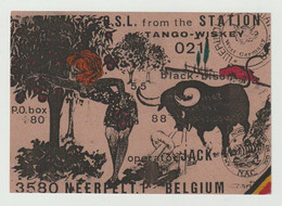 QSL Card 27MC Tango-wiskey Black Bison Neerpelt (B) - CB-Funk