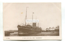 SS Caledonia - P & O S N Co Passenger Liner - Old Real Photo Postcard - Passagiersschepen